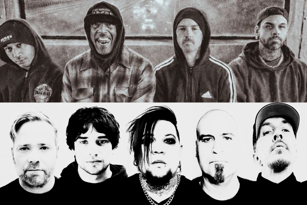 SPINESHANK & (hed) P.E.