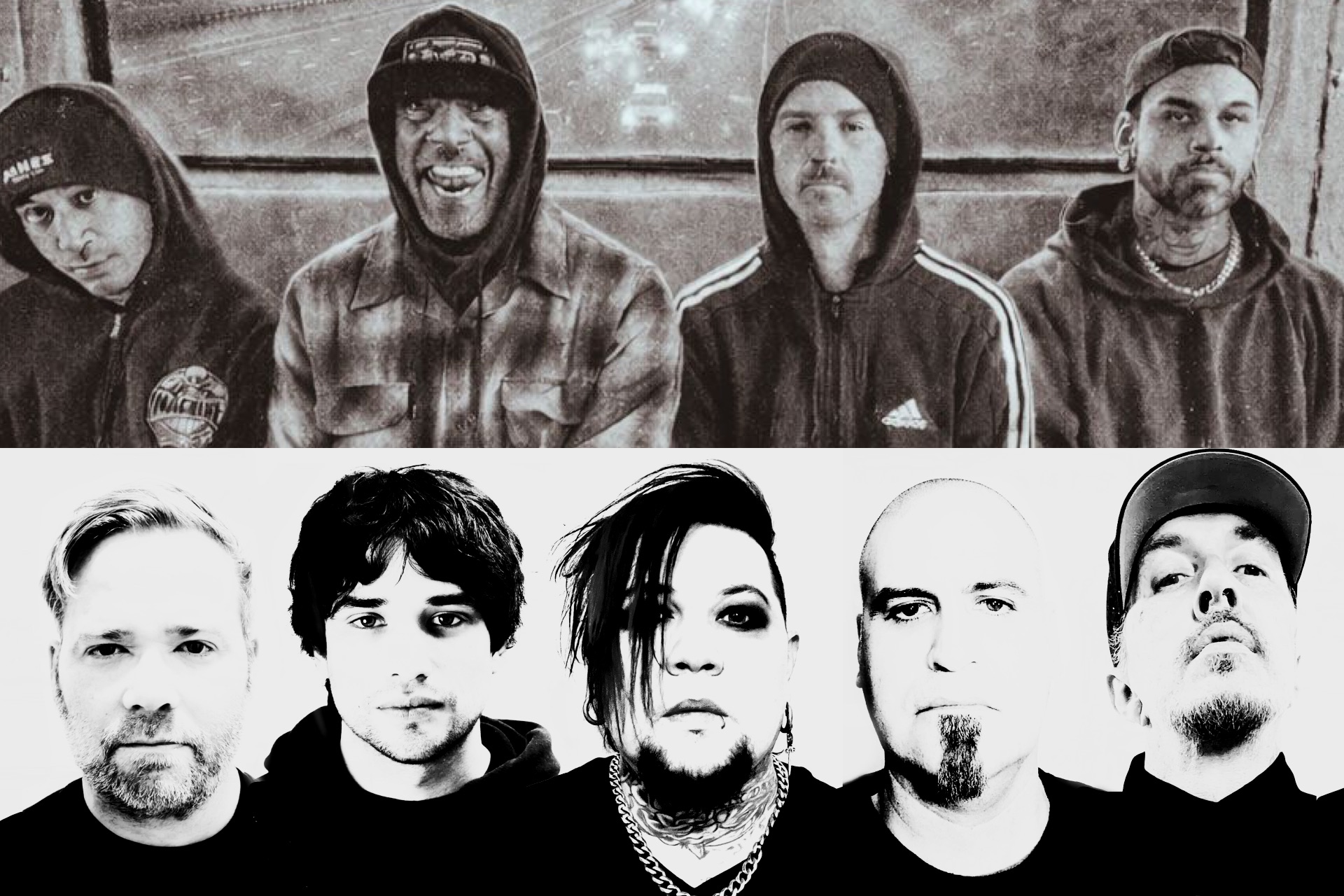 SPINESHANK & (hed) P.E.